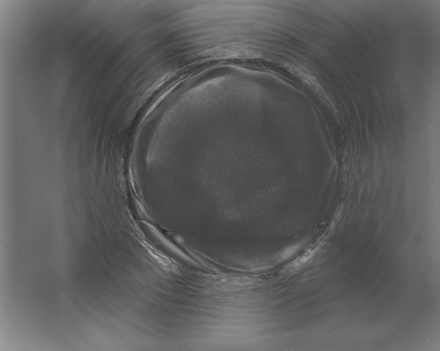 X0000062140881200512301524