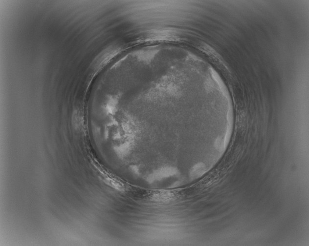 X0000062140882200512301524