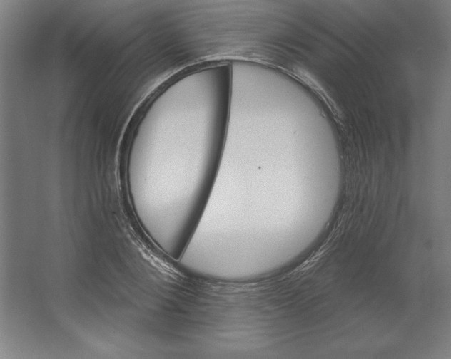 X0000062140884200512301524