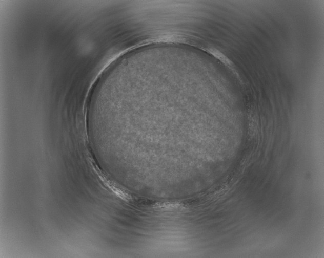 X0000062140886200512301524