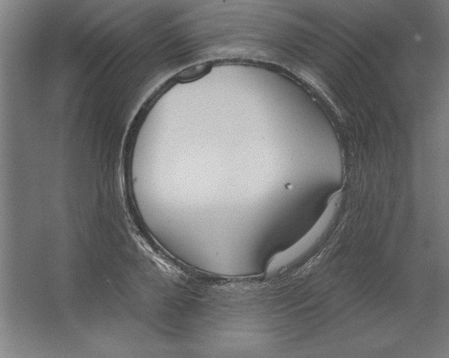 X0000062140888200512301524