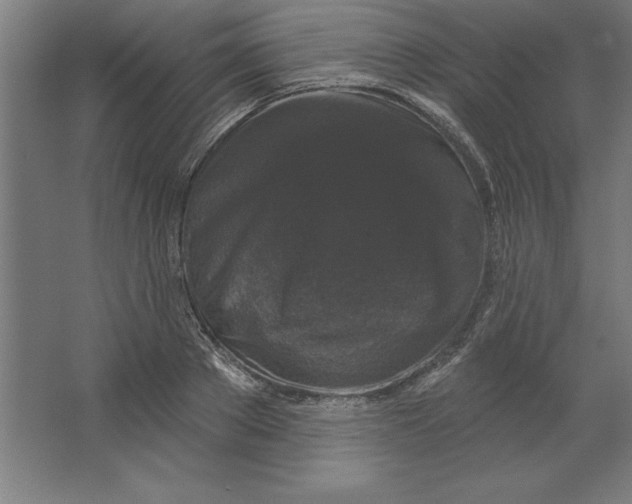 X0000062140889200512301524