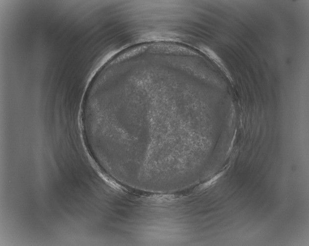 X0000062140893200512301524