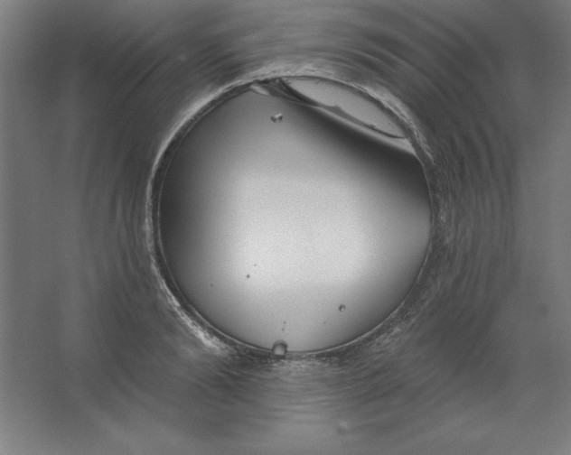 X0000062140894200512301524