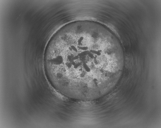 X0000062140895200512301524