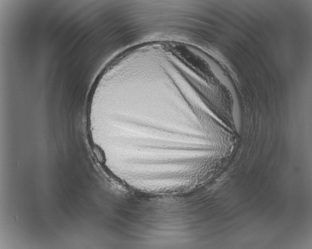 X0000062140896200512301524