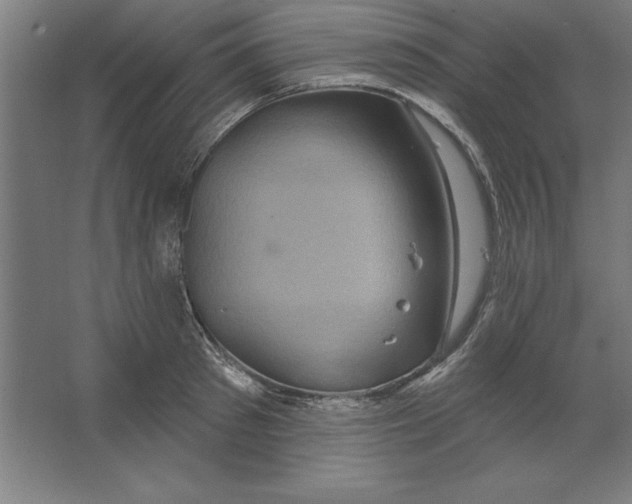 X0000062140897200512301524