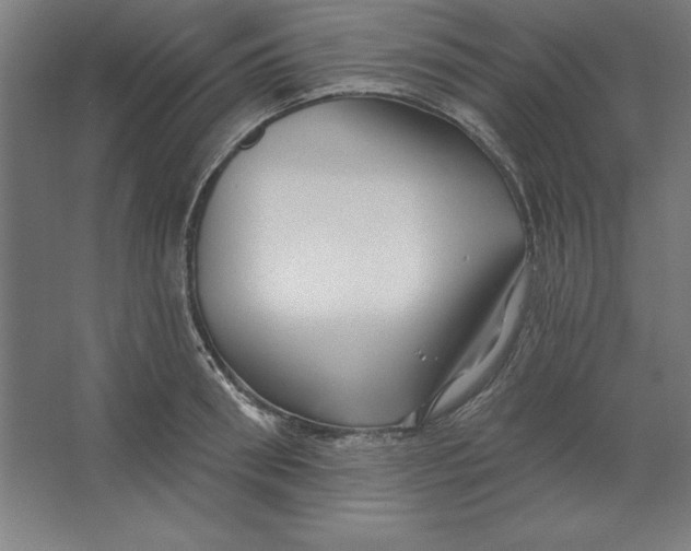 X0000062140898200512301524