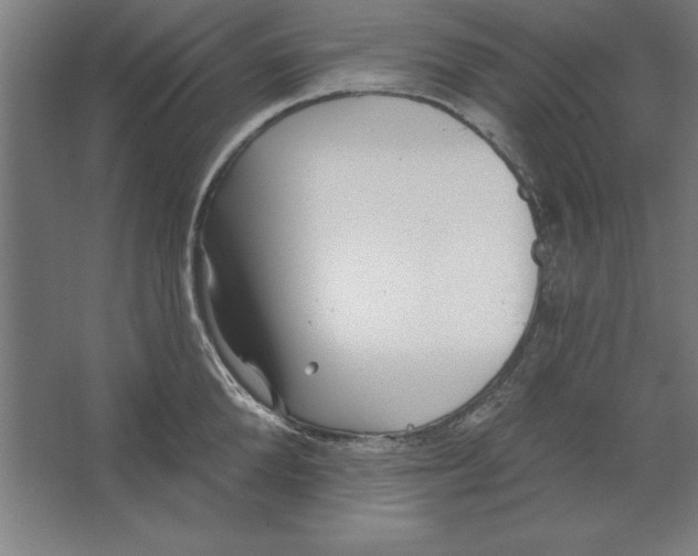 X0000062140904200512301524