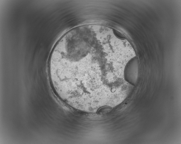 X0000062140907200512301524