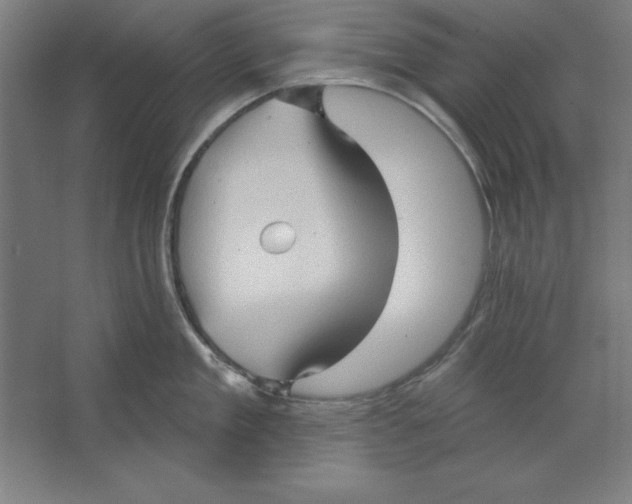 X0000062140909200512301524