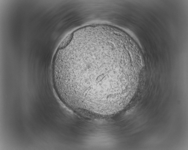 X0000062140911200512301524