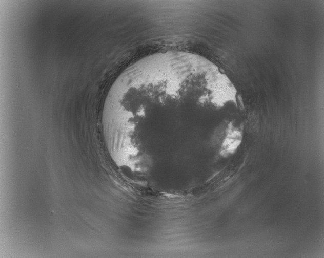 X0000062140913200512301523