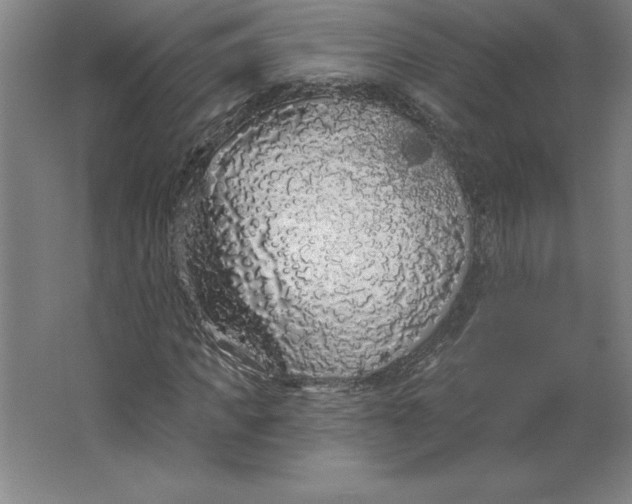 X0000062140917200512301523