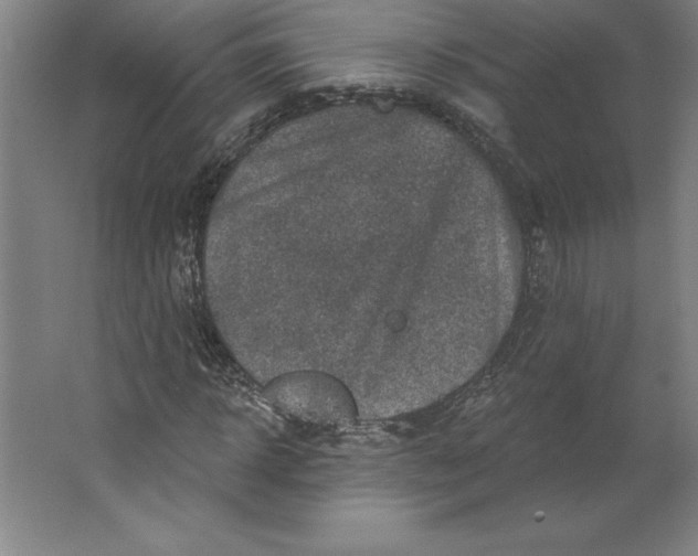 X0000062140918200512301523