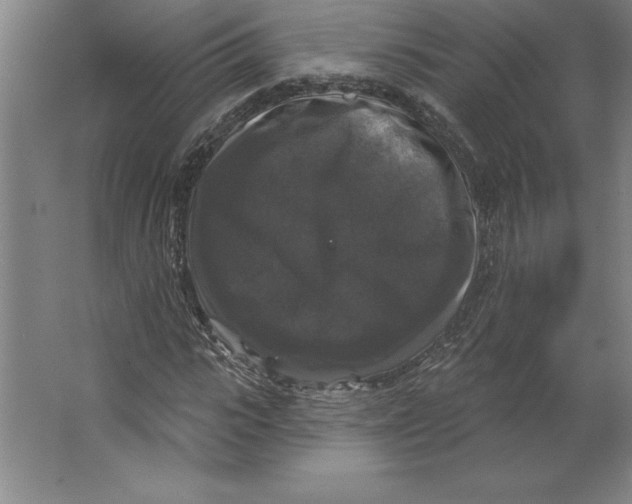 X0000062140919200512301523