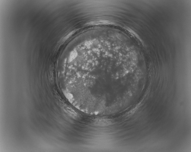 X0000062140921200512301523