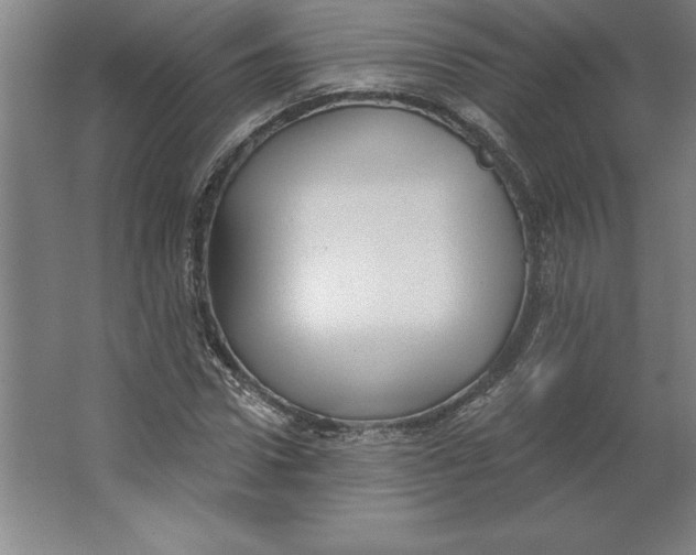 X0000062140922200512301523