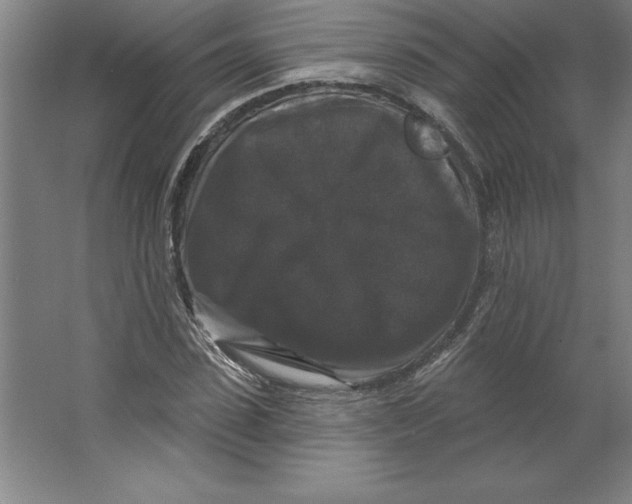 X0000062140923200512301523