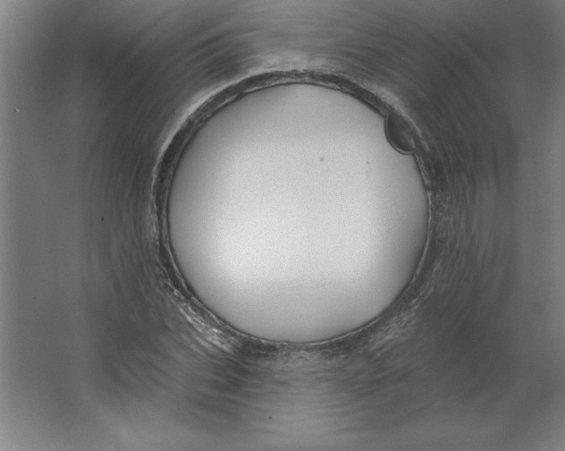 X0000062140927200512301523