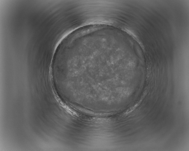 X0000062140928200512301523