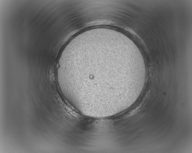 X0000062140929200512301523