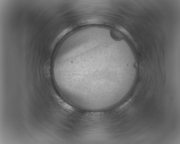 X0000062140930200512301523