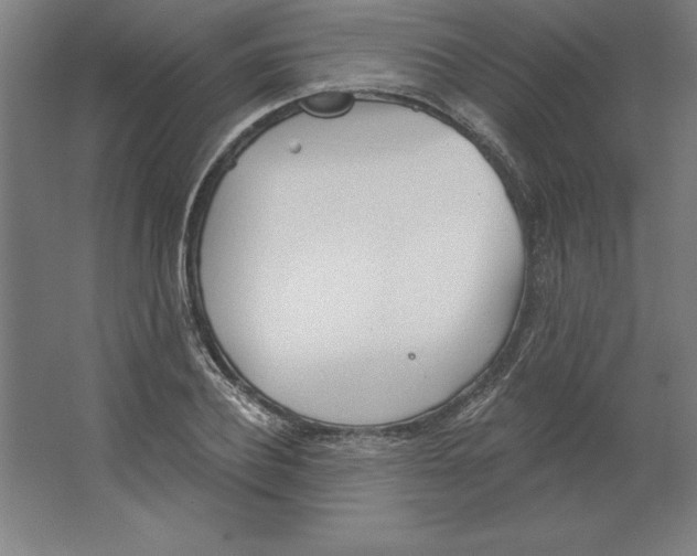 X0000062140932200512301523