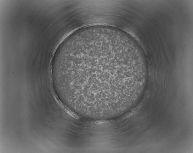 X0000062140933200512301523