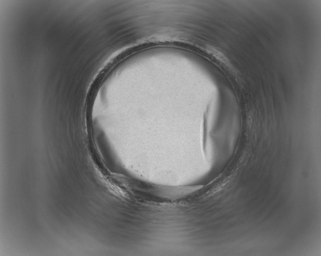 X0000062140934200512301523