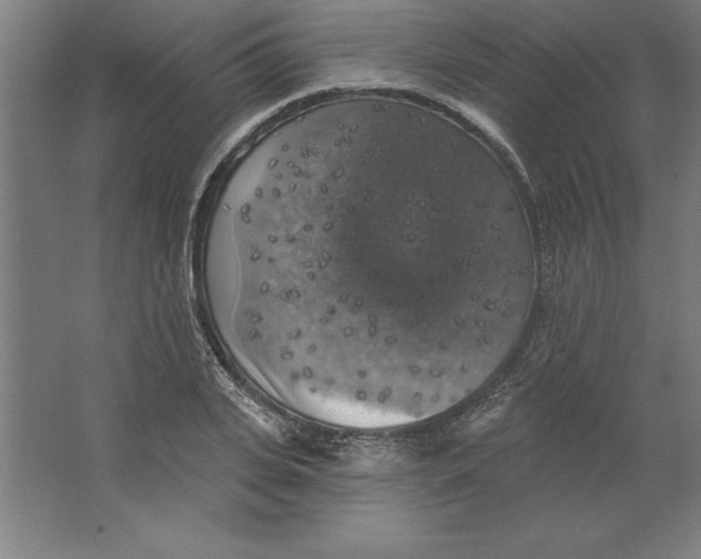 X0000062140935200512301523