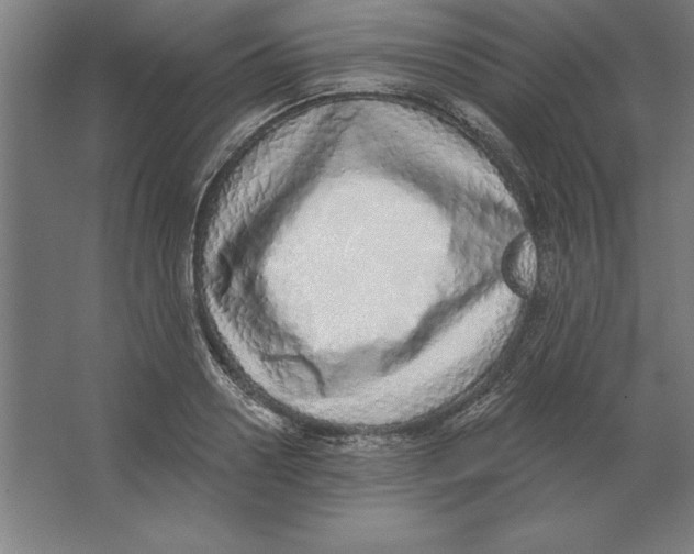 X0000062140938200512301524