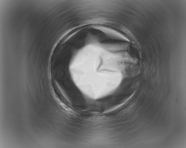 X0000062140939200512301524