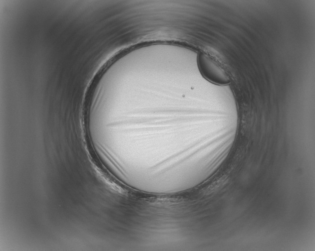 X0000062140942200512301524