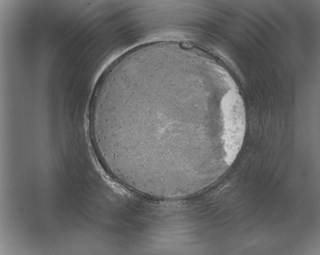 X0000062140944200512301524