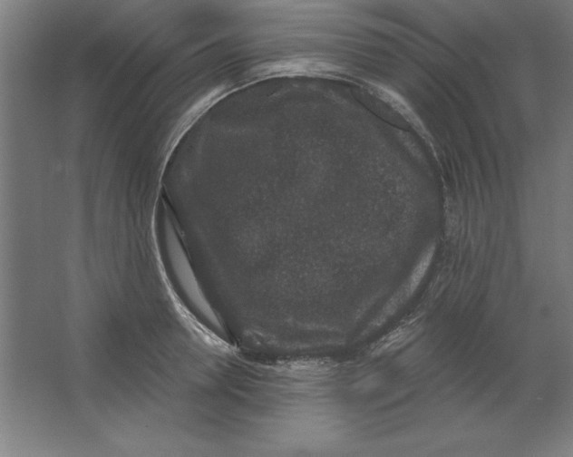 X0000062140946200512301524