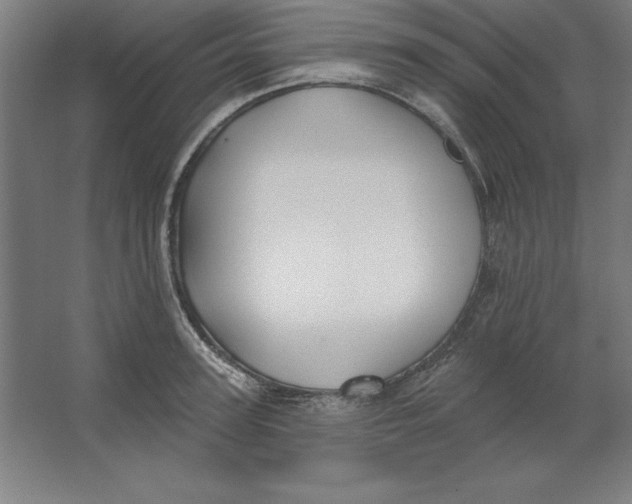 X0000062140947200512301524