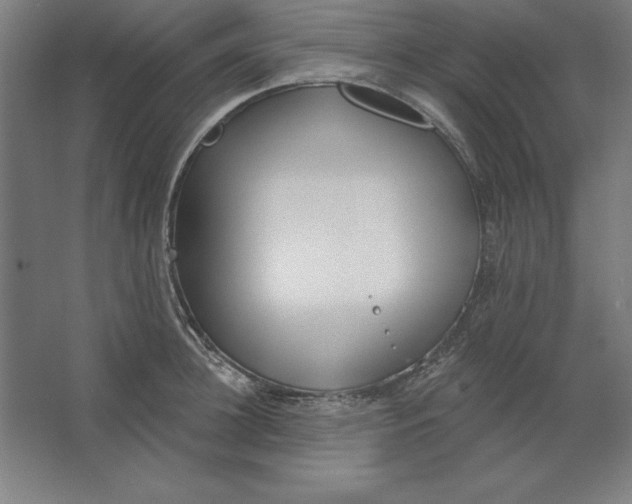 X0000062140948200512301524