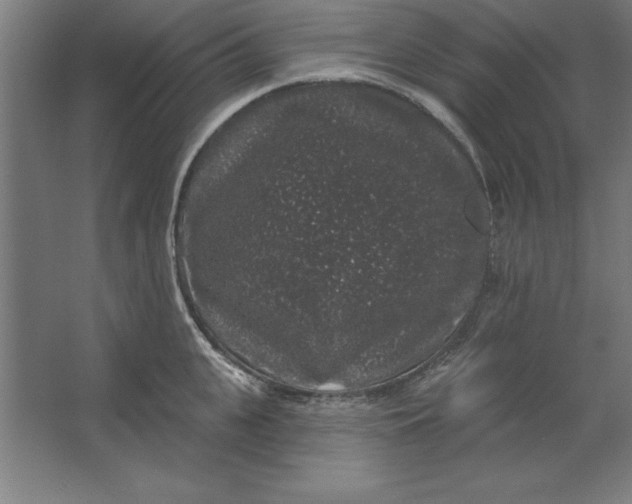 X0000062140951200512301524