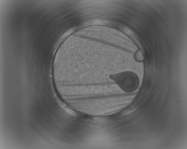 X0000062140954200512301524