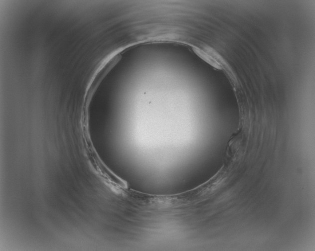 X0000062140956200512301524