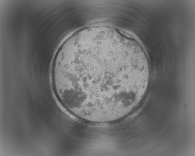 X0000062140957200512301524