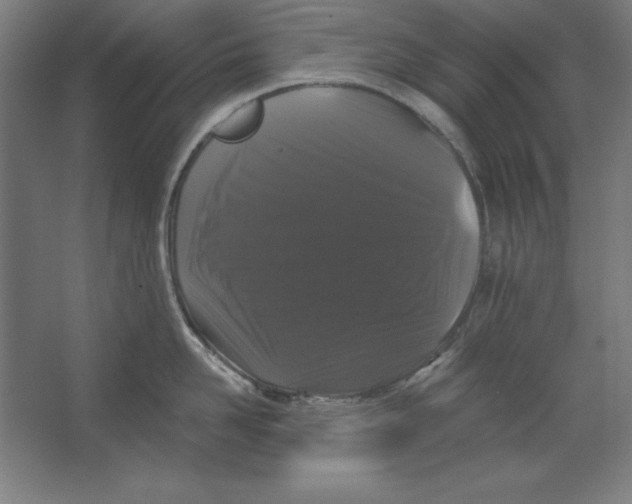 X0000062140958200512301524