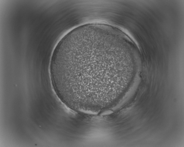 X0000062140959200512301524