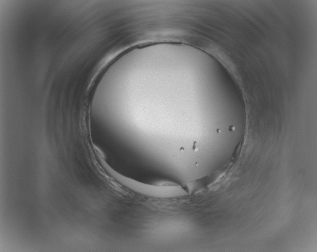 X0000062140960200512301524