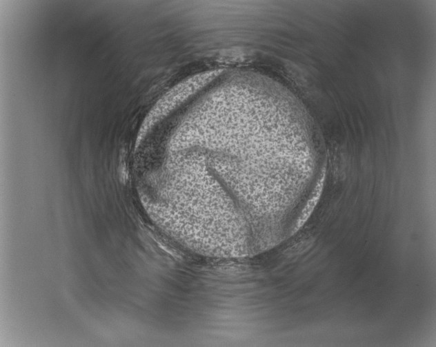 X0000062140962200512301523