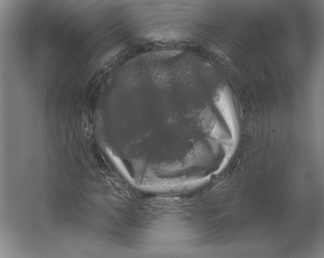 X0000062140966200512301523