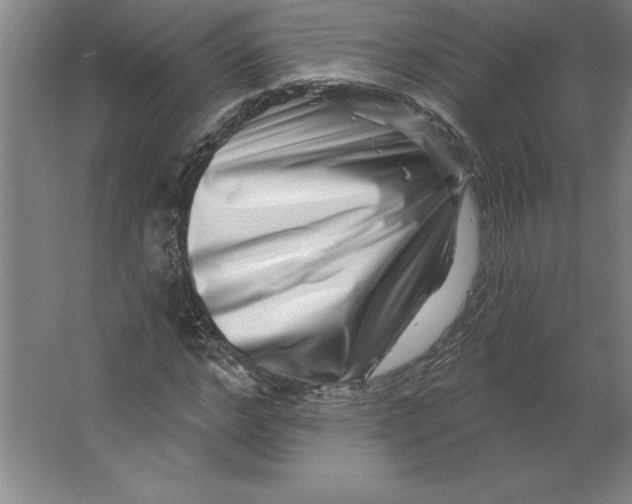 X0000062140968200512301523