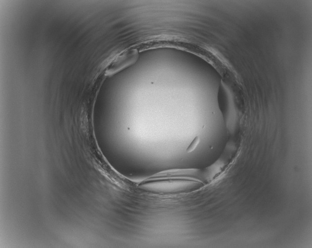 X0000062140969200512301523