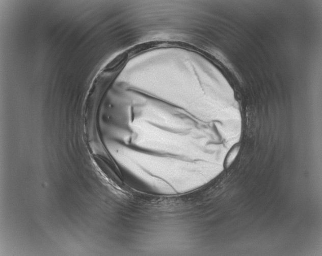 X0000062140972200512301523